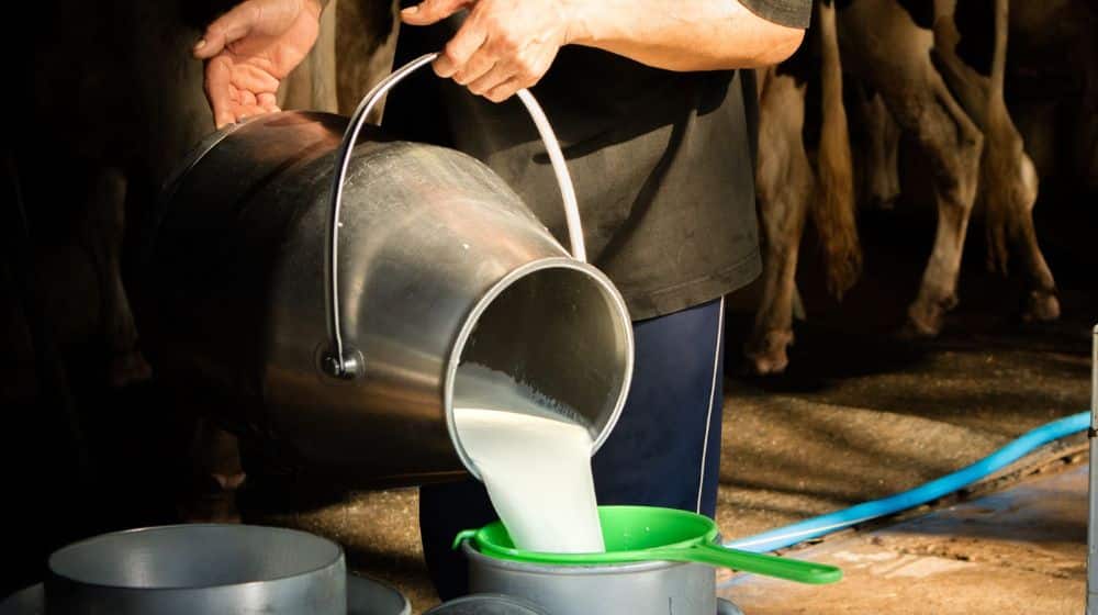 Sindh Food Authority Seizes Fake Milk Factory in Karachi